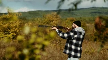 Av sezonu. Silahı olan adam. Avcılık lisansları. Bazı geyikler lekelenme tüfek ile kaçak avcı. Yasadışı avcılık avcı ormanda.