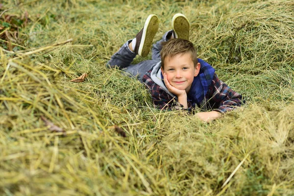 Feliz y sin preocupaciones. Chico feliz. Niño feliz sonriendo. A los niños les gusta relajarse en el heno. Es donde estoy más feliz. — Foto de Stock