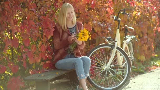 Kobieta jesień. Marzycielski dziewczyna z długimi włosami w drutach sweter. Dziewczyny moda z twarz uroda. Szczęśliwa młoda kobieta w parku na słoneczny jesienny dzień. — Wideo stockowe