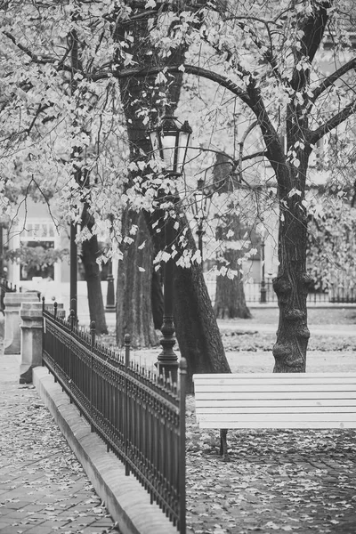Oude straat lamp in park met gele bladeren. — Stockfoto