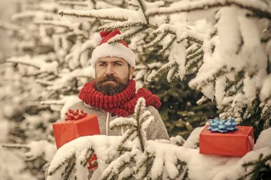 Hipster santa Noel ağacının karlı kış orman.