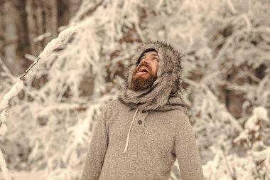 Sakallı adam karlı ormandaki açık ağızlı
