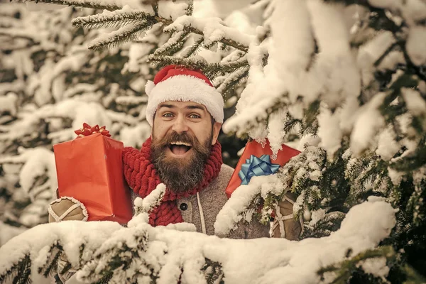 Navidad hombre feliz celebrar presente caja en el bosque de invierno nevado —  Fotos de Stock