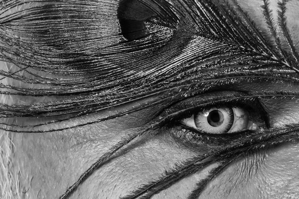 孔雀の羽と人間の目 — ストック写真