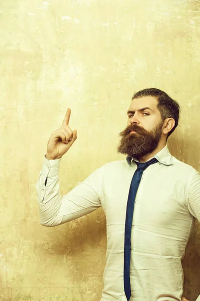 Hipster ou barbu homme à longue barbe sur le visage sérieux — Photo