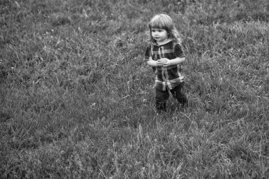 Yeşil çimenlerin üzerinde küçük bir çocuk