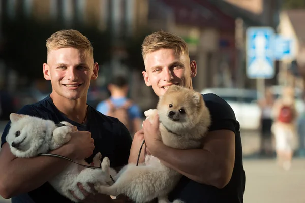 Rodinný lepení čas. Dvojčata muži drží Chovné psy. Spitz psi milují společnost své rodiny. Šťastná rodina na procházce. Muži s psí mazlíčky. Happy twins s svalnatý vzhled — Stock fotografie
