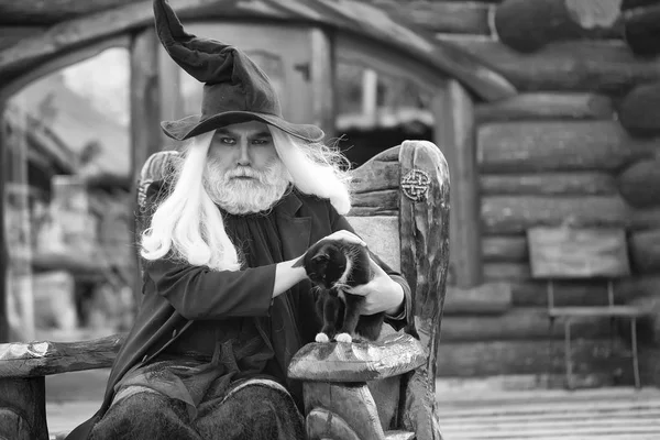 Evil wizard with cat — Stock Photo, Image