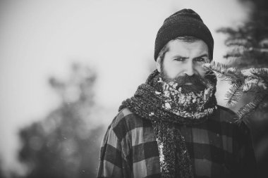 Noel hipster ahşap, Şapkalı.