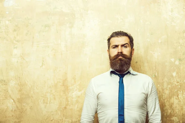 Hipster ou barbu homme à longue barbe sur le visage sérieux — Photo