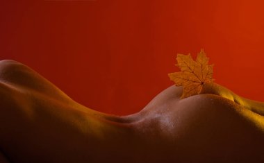 Seksi büyük eşek. İzole yaprak. Reklam Ajansı. Sonbahar yaprakları. Seksi buttbeautiful Bayan popo. Sonbahar elbise. Dijital reklam. Eylül Merhaba.