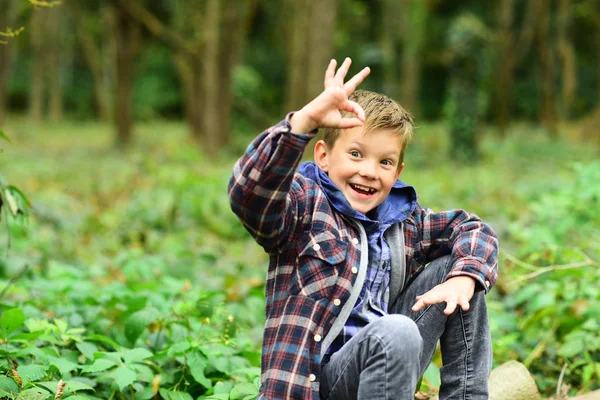 Я чувствую себя хорошо, маленький мальчик показывает знак ОК. Счастливый маленький мальчик. Маленький мальчик наслаждается днем в лесу. Расслабься, всё хорошо. — стоковое фото