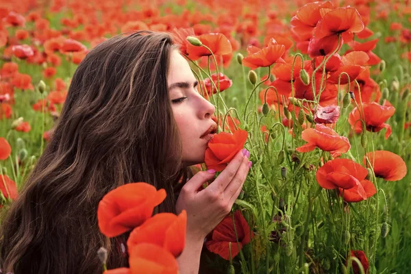 Mooi meisje in de Papaver — Stockfoto