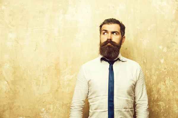 Barba larga de hombre barbudo o hipster con cara seria — Foto de Stock
