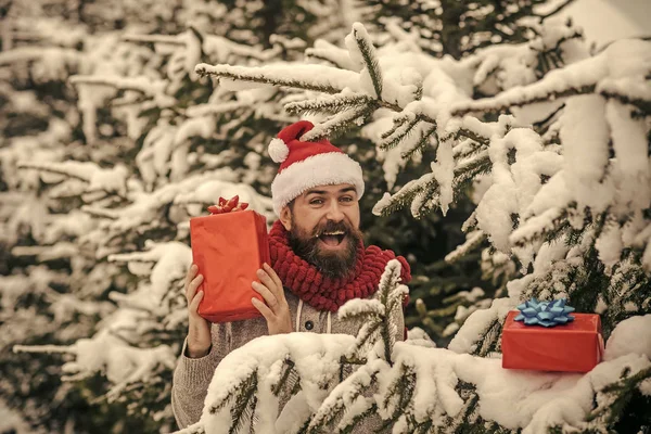 Homem barbudo em santa chapéu no ano novo . — Fotografia de Stock