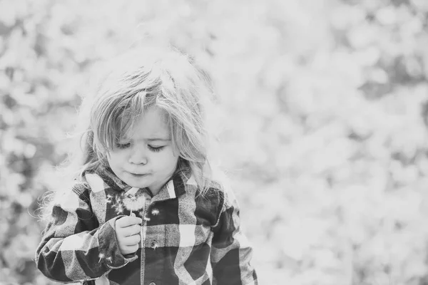 牧歌的な晴れた日に花を持つ少年 — ストック写真