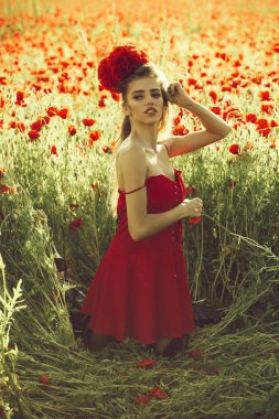 haşhaş tohumu alanındaki kız