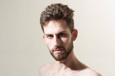 Sakal eğilim tamamen gitmiş olacak. Sakallı adam Kuaför sakal ihtiyacı var. Kişisel bakım ve sabah rutin. Erkek saç bakım. Kuaför Salonu. Adam sabah uyandırma, kopya alanı sonra