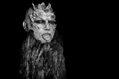 Ağaç ruhu ve fantezi kavramı