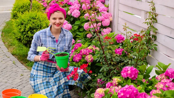 Plant care and gardening. Happy woman gardener plant flowers. Woman care and grow hydrangea flowers in garden. Gardener is happy for results. Garden design