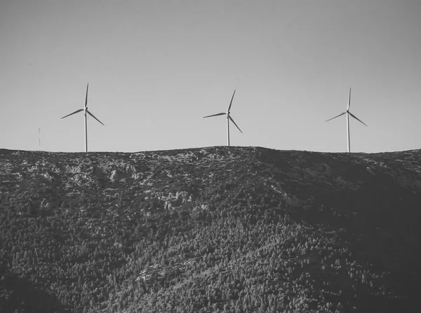 Alternative energy sources concept. Giant white windmills on mountains. Windmills, wind generators on hill, mountain. Landscape with mountains, green forest on sunny day