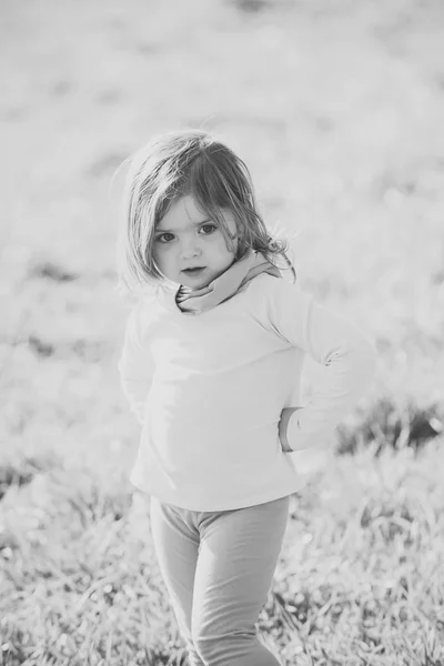 Chica con cara linda, pose de pelo largo sobre hierba verde —  Fotos de Stock