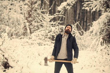 sakallı adam oduncu tutun balta karlı kış ormanda kamp