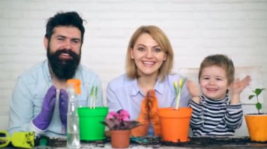 Baba, anne ve oğul avucunda alkışlar ve sadece dikilmiş çiçekler ile tencere yakınındaki kamera bakıyor. Fidan kavramı.