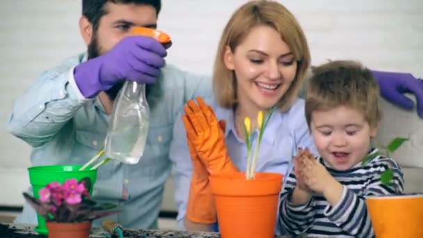 De familie is blij om te besteden tijd planten en bloemen in het voorjaar te drenken. De jongen helpt zijn ouders plant bloeit. — Stockvideo