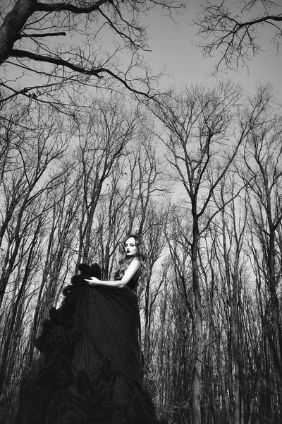 Jovem mulher elegante na floresta — Fotografia de Stock