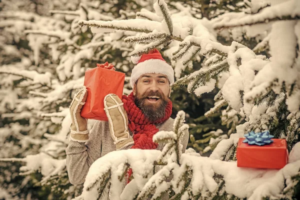 Boxing day, εορτασμό συμβαλλόμενων μερών. — Φωτογραφία Αρχείου