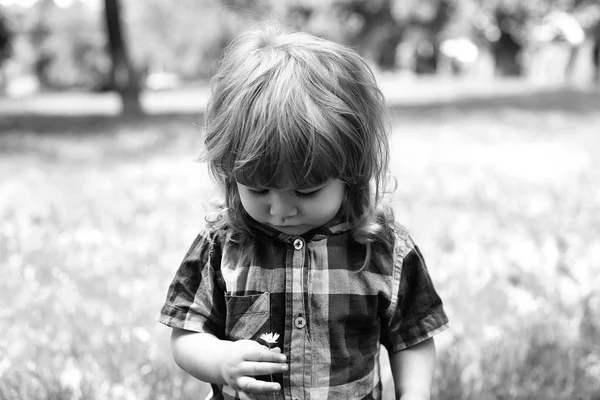 Szczęśliwy mały chłopiec na zielonej trawie — Zdjęcie stockowe