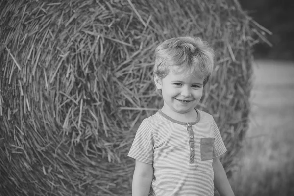 Pequeño niño sonrisa en la bala de heno, verano —  Fotos de Stock