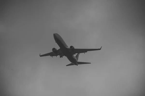 Silhouette of plane in grey sky. Passenger plane flies high in sky, flight. International flights, delivery, transportation. Flight and weather conditions concept. — Stock Photo, Image