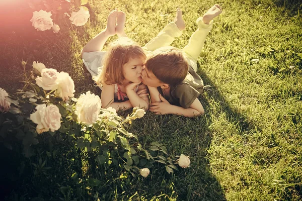 Pojke kysser tjej på grönt gräs under rosenbuske — Stockfoto