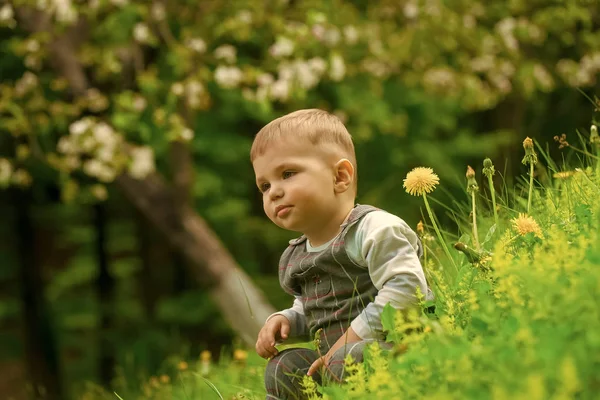 Мальчик сидит в зеленой траве — стоковое фото