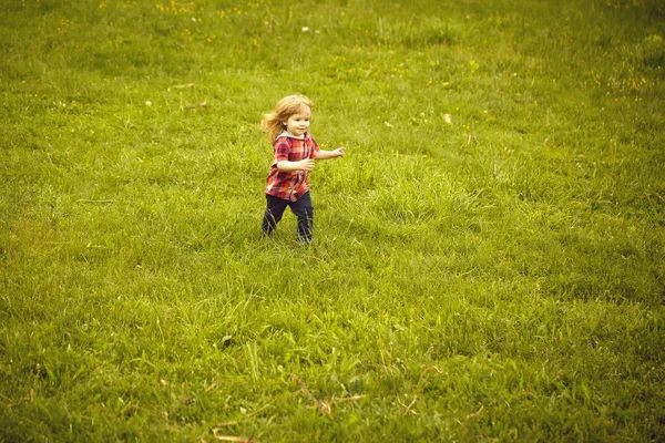 Liten pojke på grönt gräs — Stockfoto