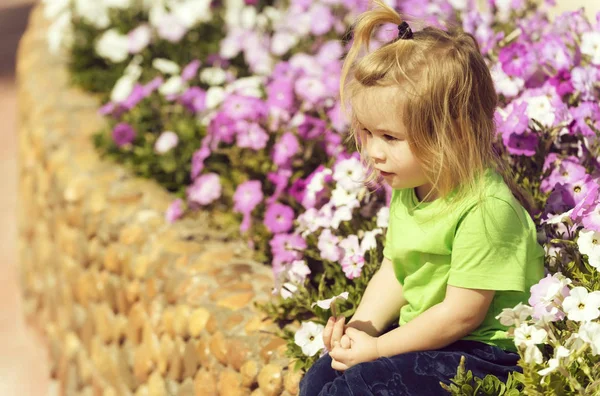 Милый мальчик играет на клумбе с цветущими цветами — стоковое фото