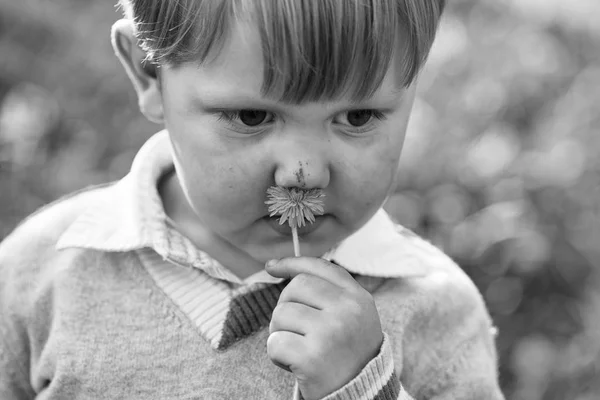 Χαριτωμένο αγόρι sniffs στο λουλούδι — Φωτογραφία Αρχείου