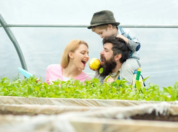 farm greenhouse. happy family in farm greenhouse. greenhouse farm for happy family. farm and greenhouse industry. growing green is a way of life.