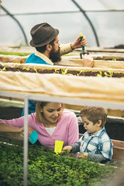 Kert Mester osztály. kertészeti mesterkurzus boldog család. üvegházhatású kertészeti mesterkurzus kapok. kertészeti mesterkurzus koncepció. vita új üzleti ötletek. — Stock Fotó