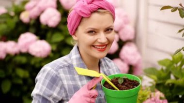 Mutlu bir kadın çiçek Bahçe bakımı. Tencere dikim. Kadın tencerelerde Bahçe. Bitki koruma. Bahçe hobi değil. Pot ve Bahçe set çiçekli güzel ev kadını.