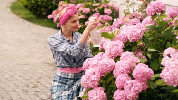 Joyeux fille arrosant des fleurs. Femme arrosé fleurs. Une femme s'occupe des fleurs. Femme arrosé hortensia rose dans le jardin. Jardinier est heureux pour les résultats. Conception de jardin . — Video