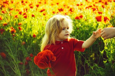 çocuk veya haşhaş tohumu alanındaki küçük çocuk