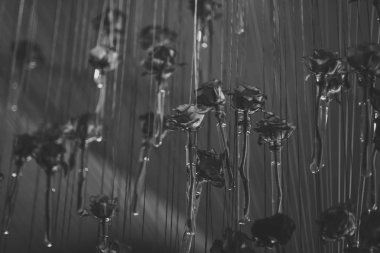 Cam test tüpleri kırmızı gül çiçekler ile asmak