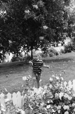 Şirin bebek çocuk çıplak ayakla parkta yeşil çimenlerin üzerinde yürüyüş