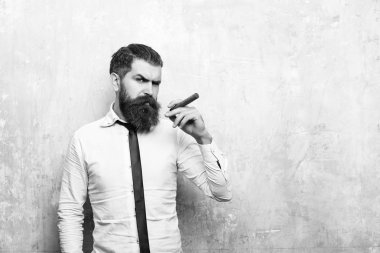 hipster ciddi bir yüz yasaktır puro üzerinde