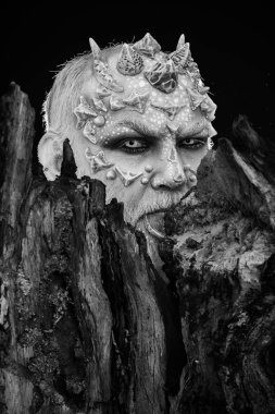 Ağaç ruhu ve fantezi kavramı