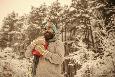 Boks günü, parti kutlama.