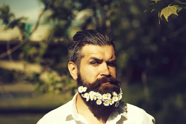 Hombre guapo con flores en barba —  Fotos de Stock